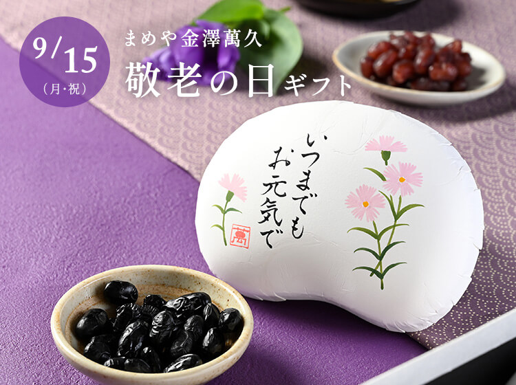 まめこさま専用！ Amazon｜スケーター(Skater) マグボトル まめきちまめこ 480ml