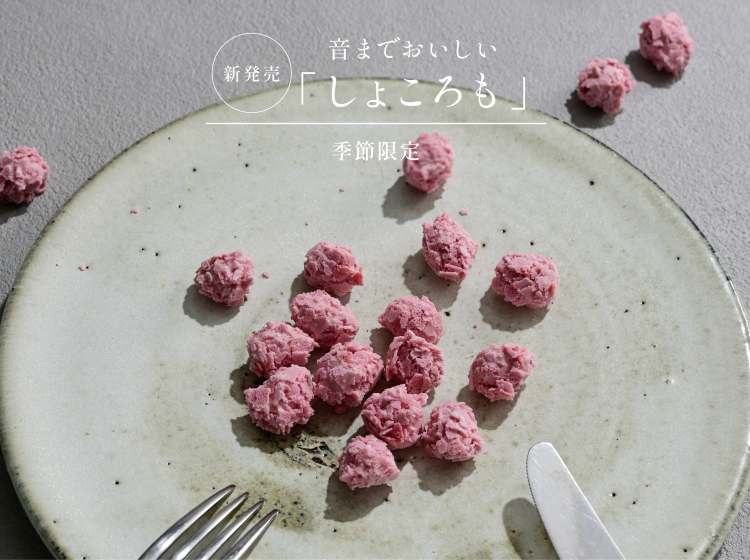 しろまめさま専用出品 匿名配送】超レア‼︎ 「まめゴマ」しろゴマ飼育セット☆中袋未開封品