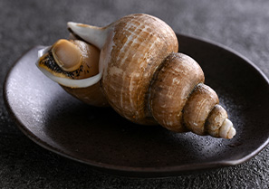 バイ貝の旨煮