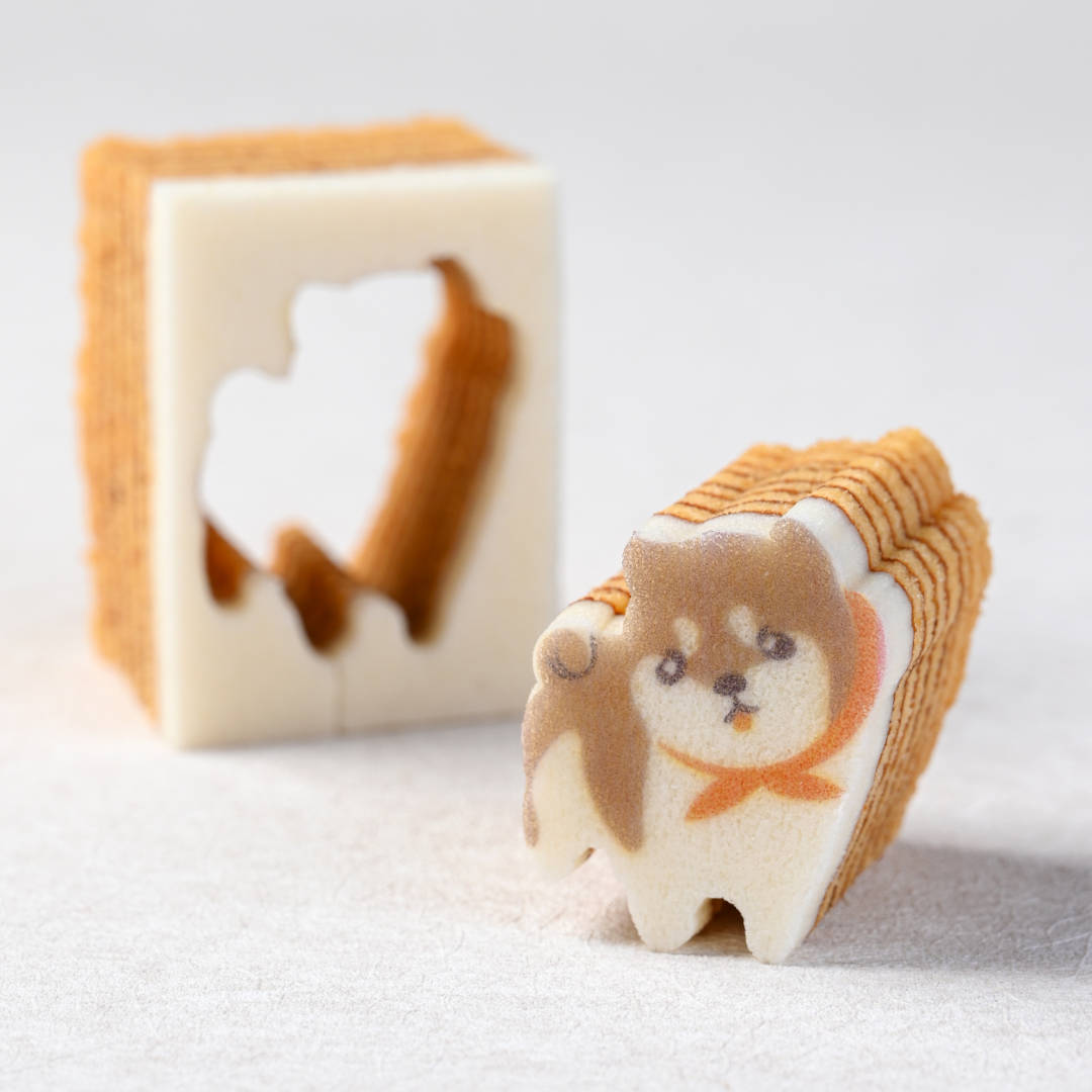 限定出品 スカラマシュ 笠 猫屋小舗 ○萬久の贈り物【6】｜【公式】まめや金澤萬久オンラインショップ